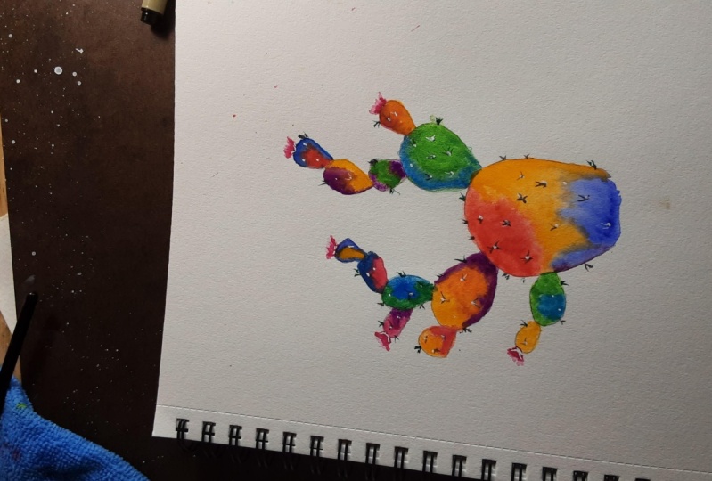 Rainbow cactus
