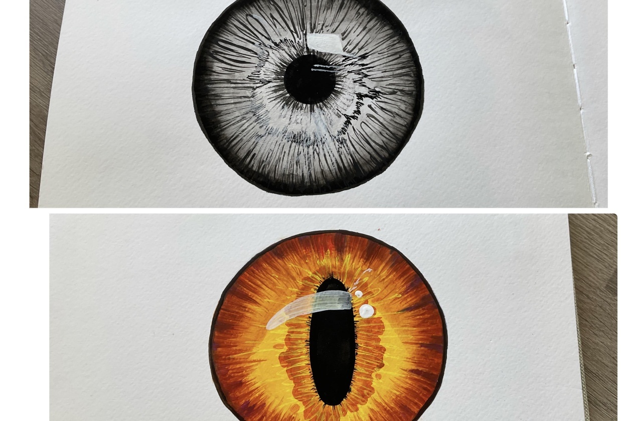 Cats eyes - student project