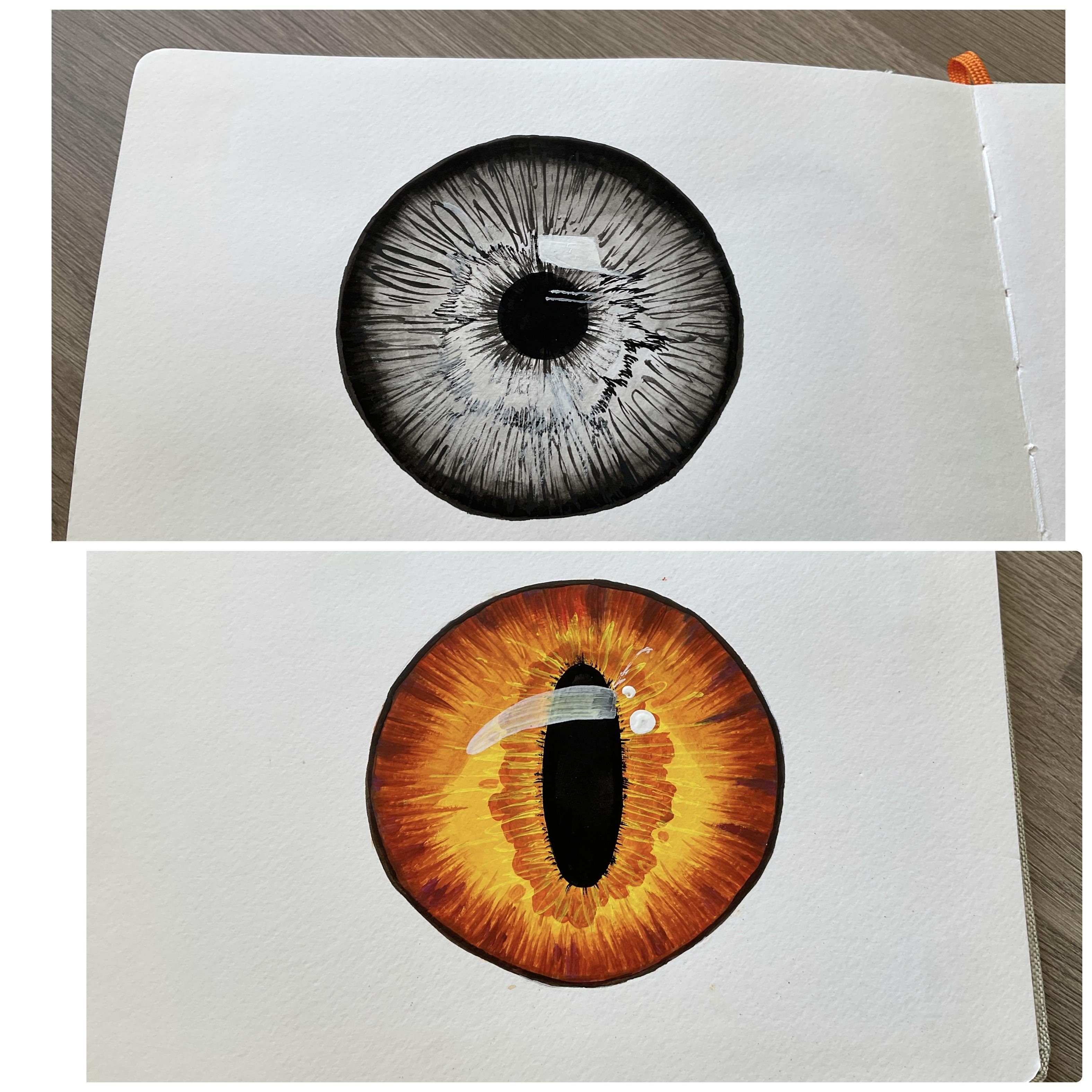more-projects-from-class-img