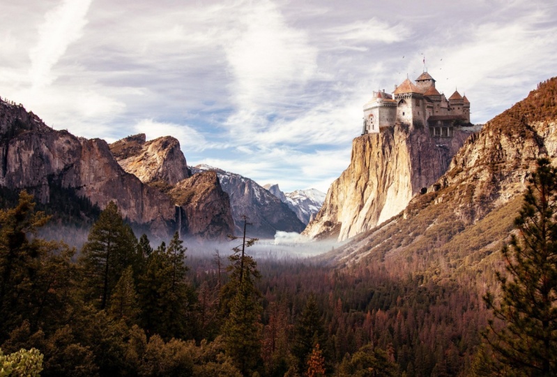 The castle
