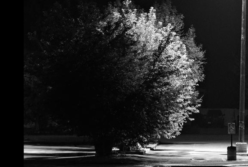 FujiFilm Simulations