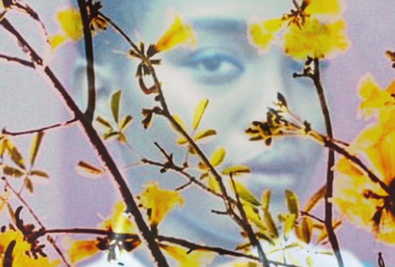 DOUBLE EXPOSURE FUN