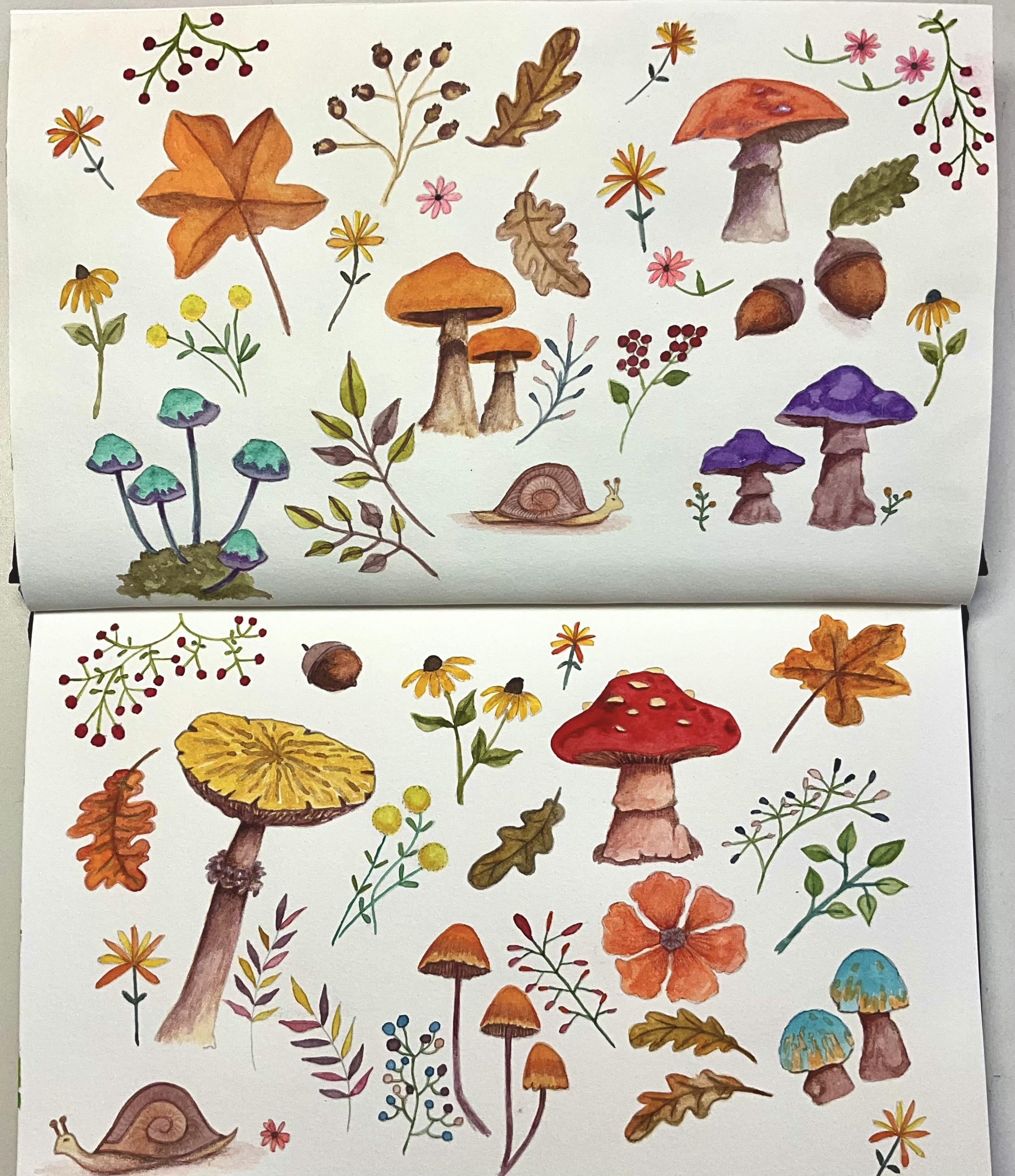 Shrooms and leaves and tiny flowers - student project