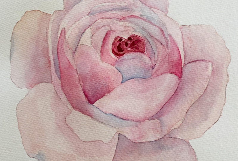 Realistic rose