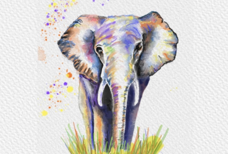 Elephant l