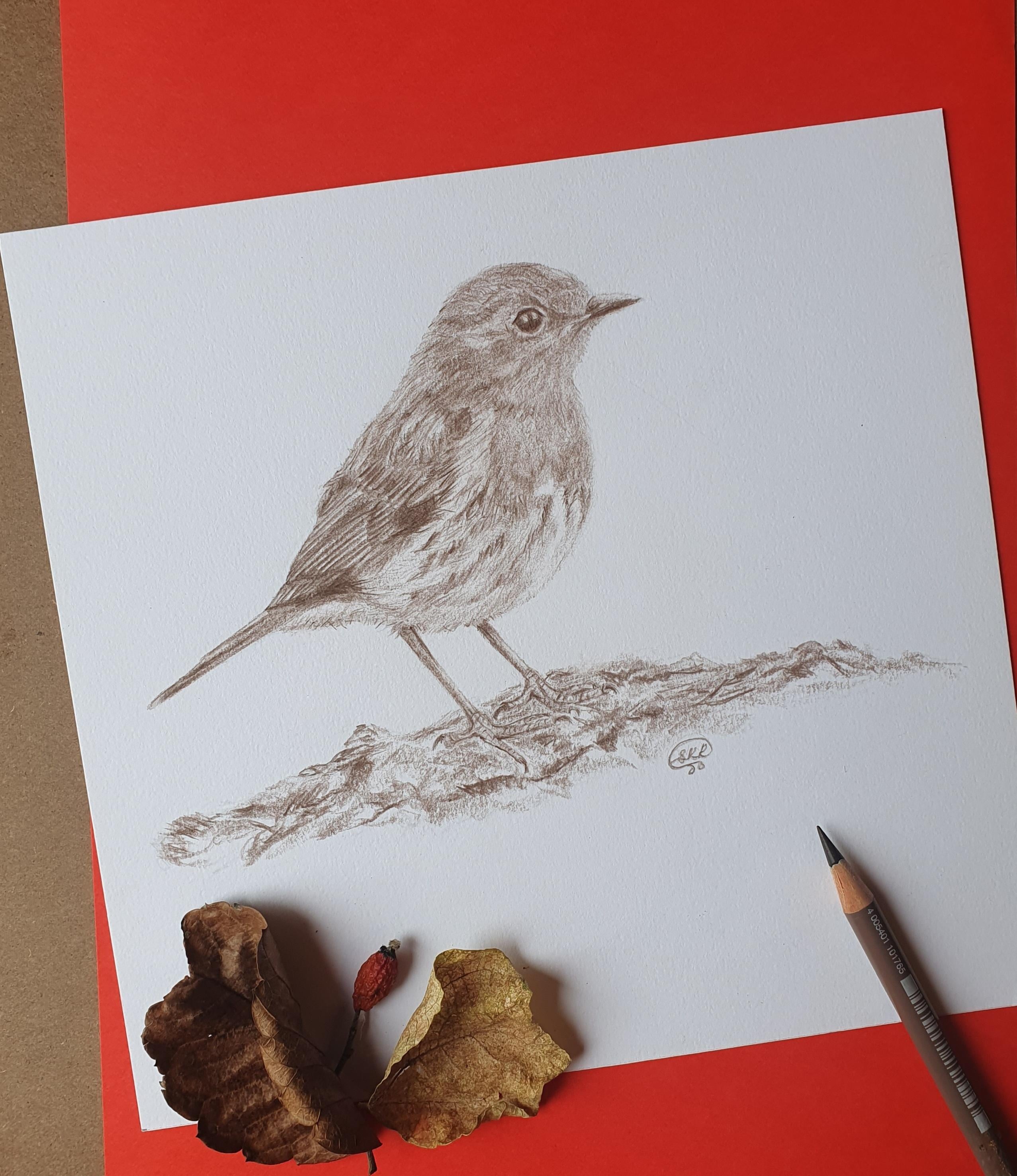 Robin - student project