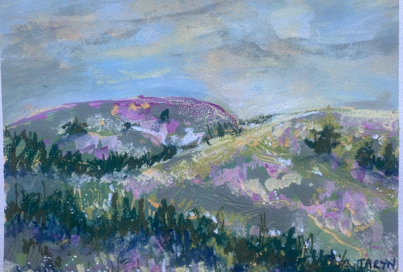 My Whimsical Landscapes