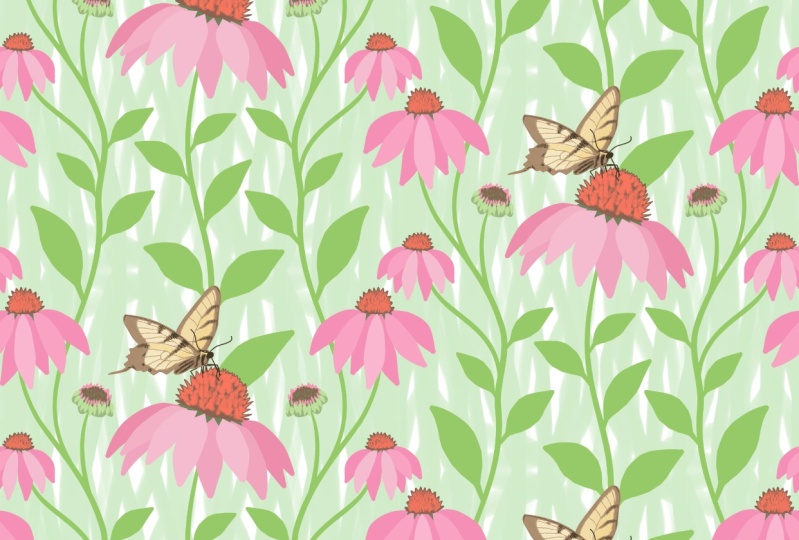 Butterflies & Echinacia