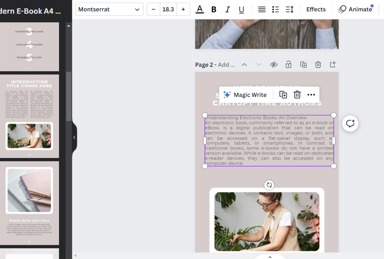 Brenda Hall's ebook - student project