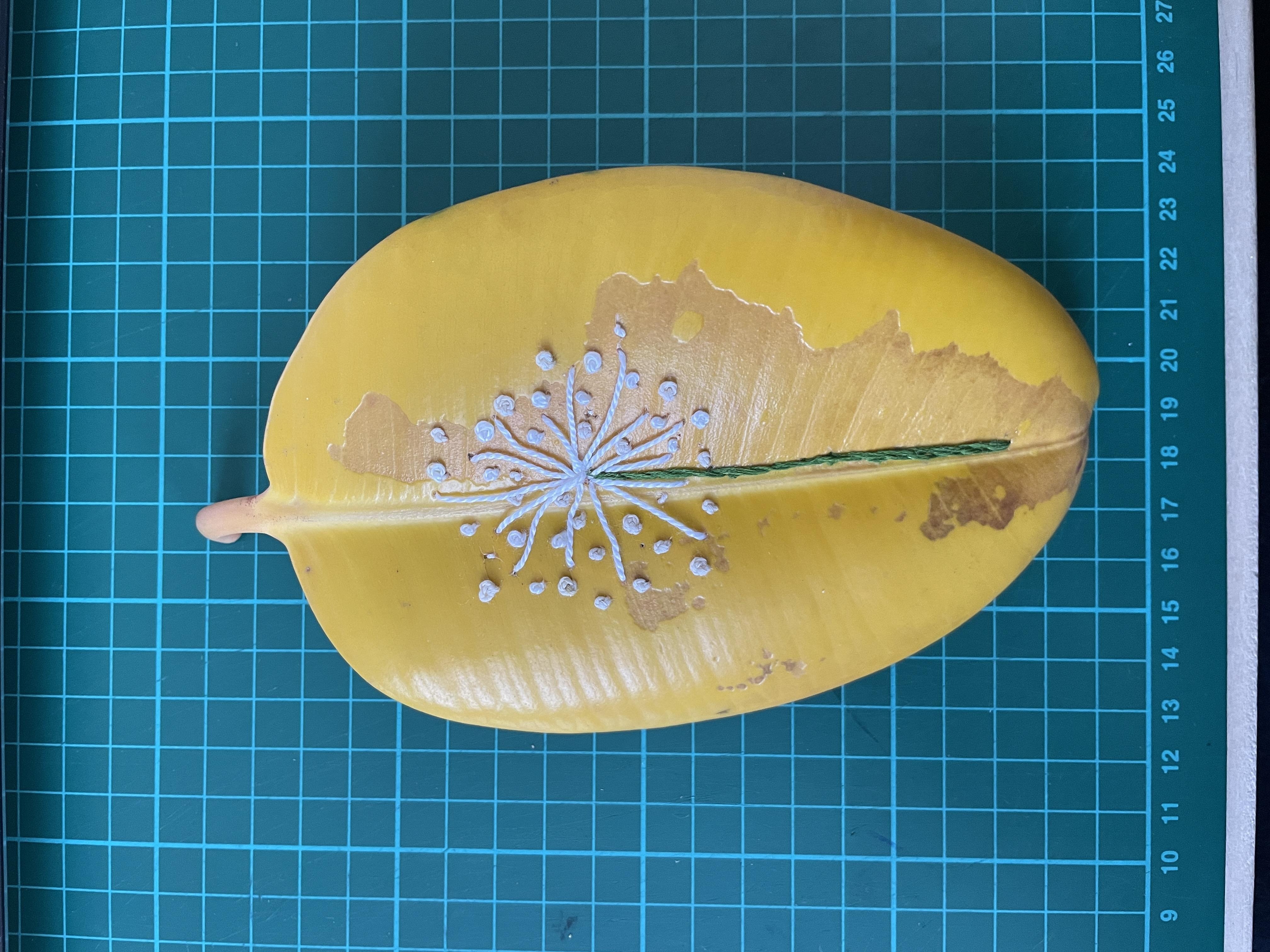 more-projects-from-class-img