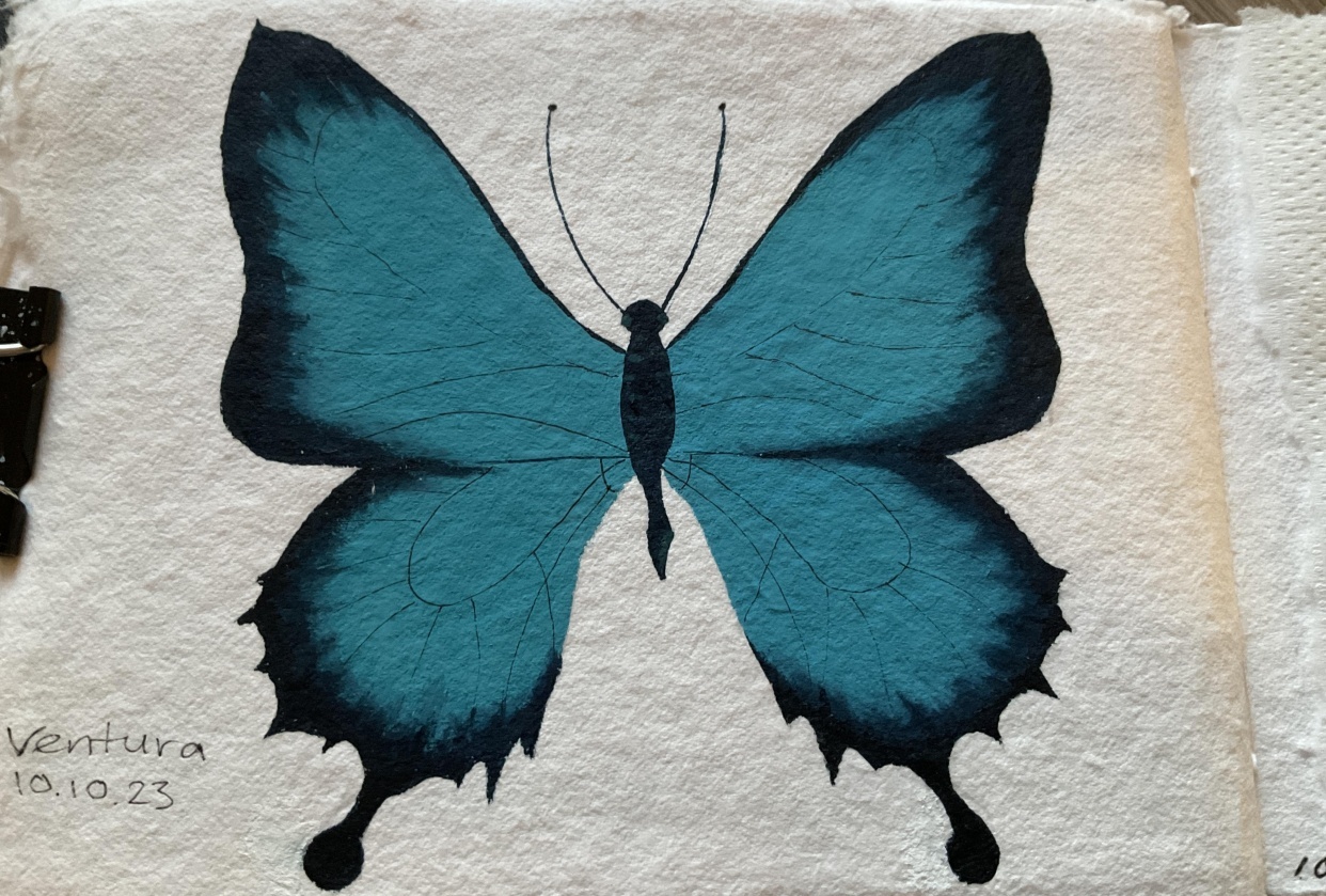 Gouache Butterfly - student project
