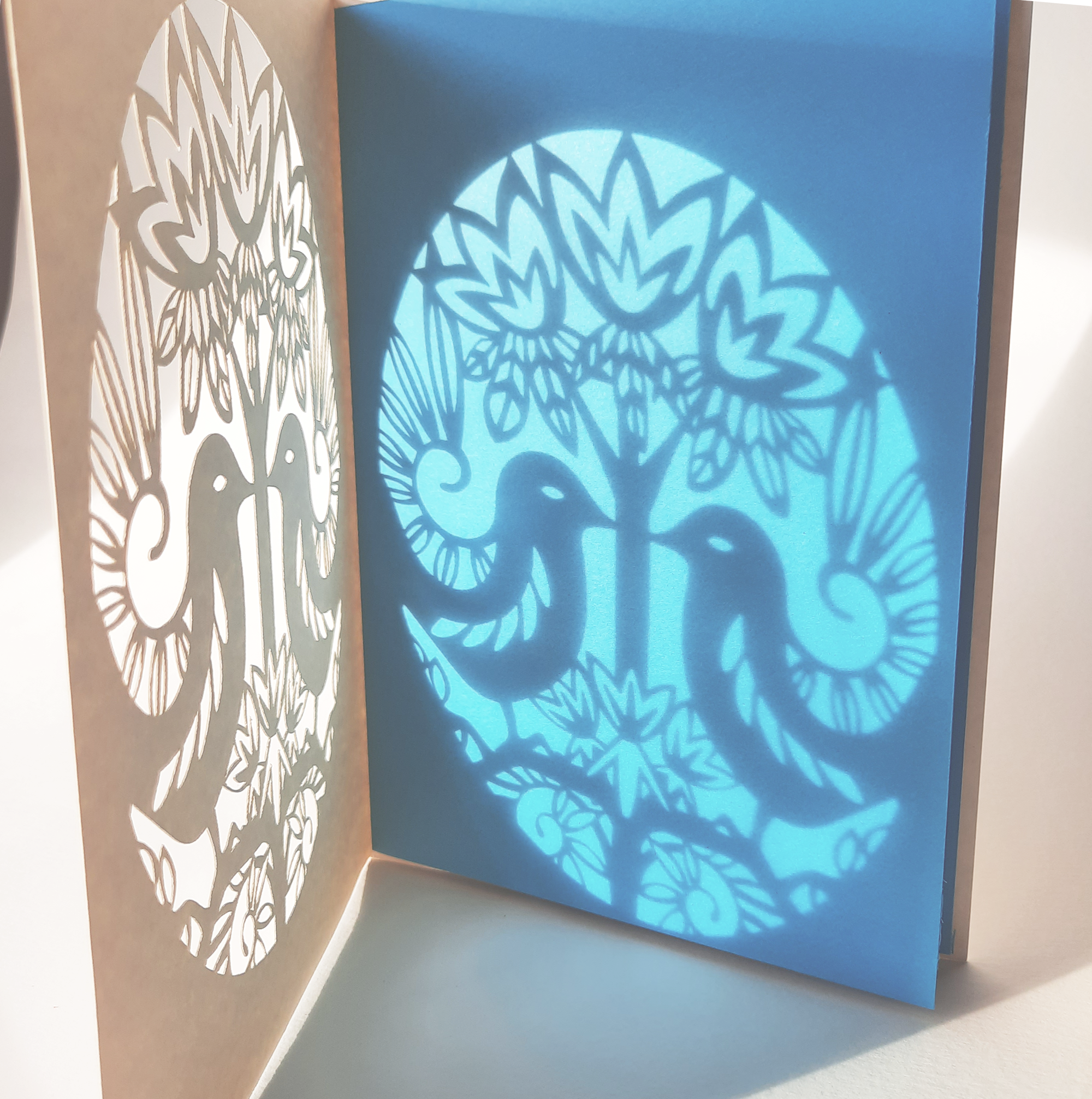 more-projects-from-class-img