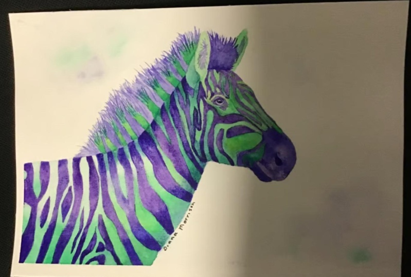 Zebra
