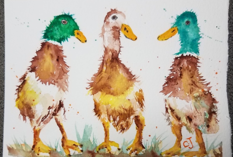 3 odd ducks in a row