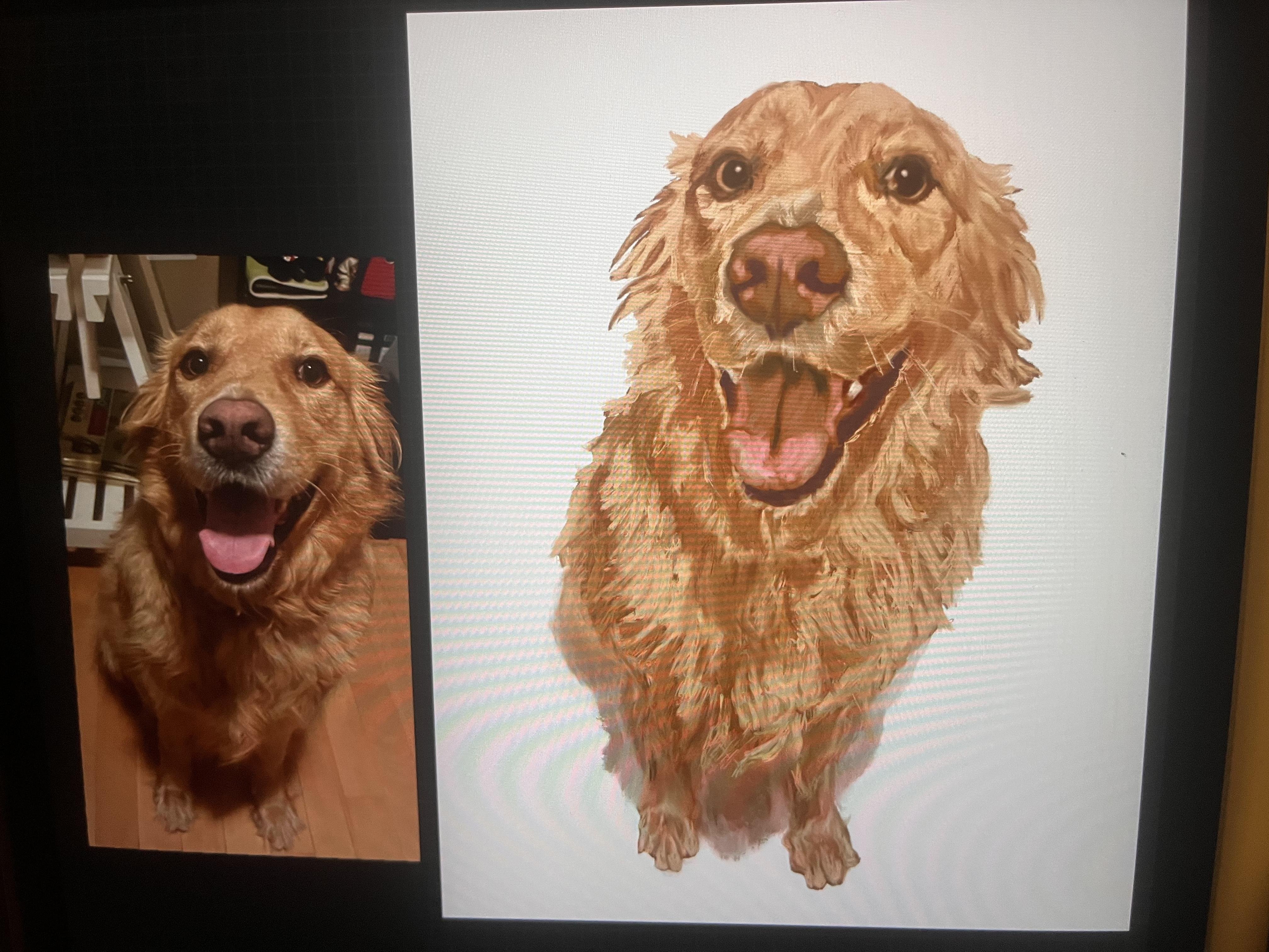 Pasa our big pup - student project