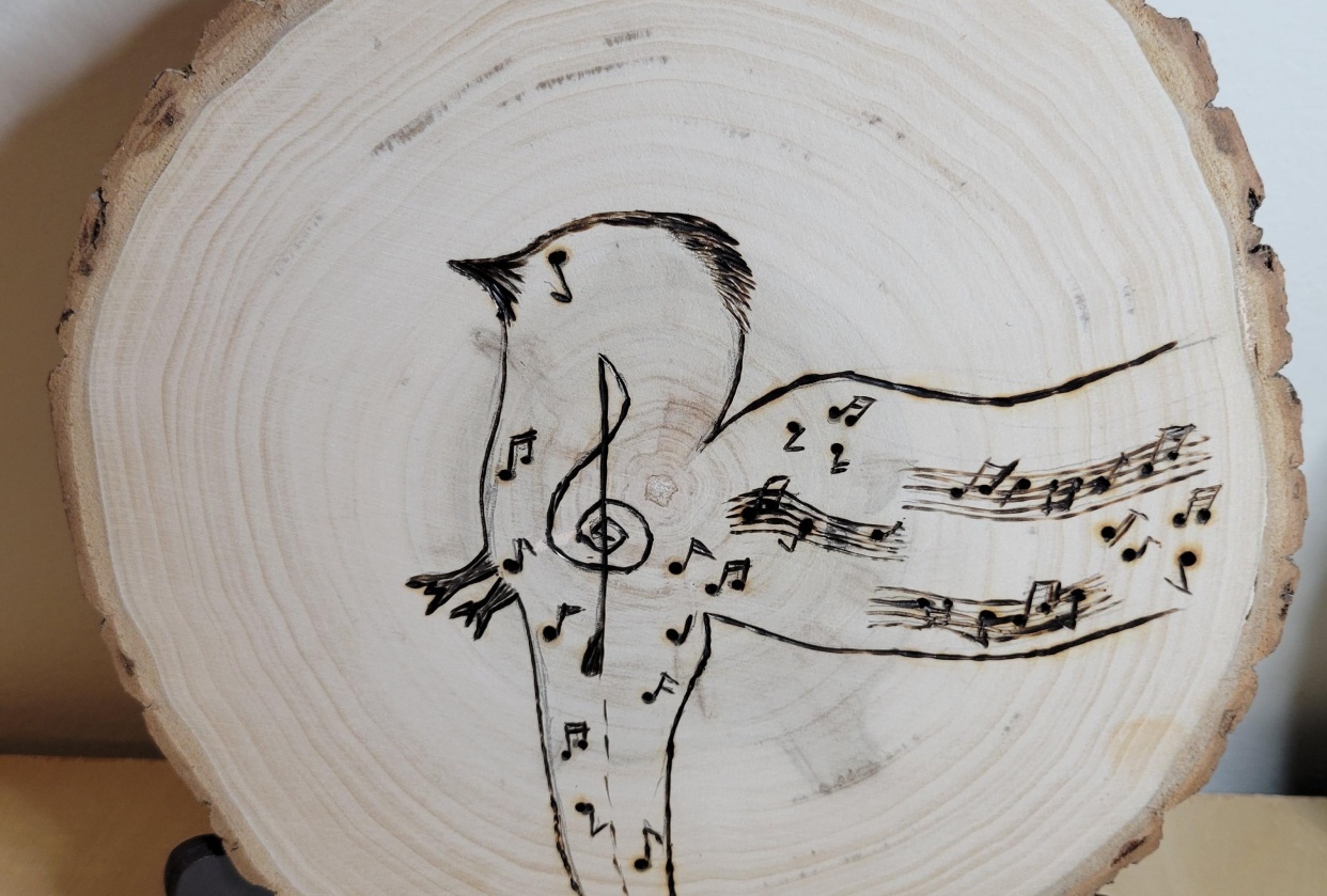 Tonya Marie Music Adventures - student project