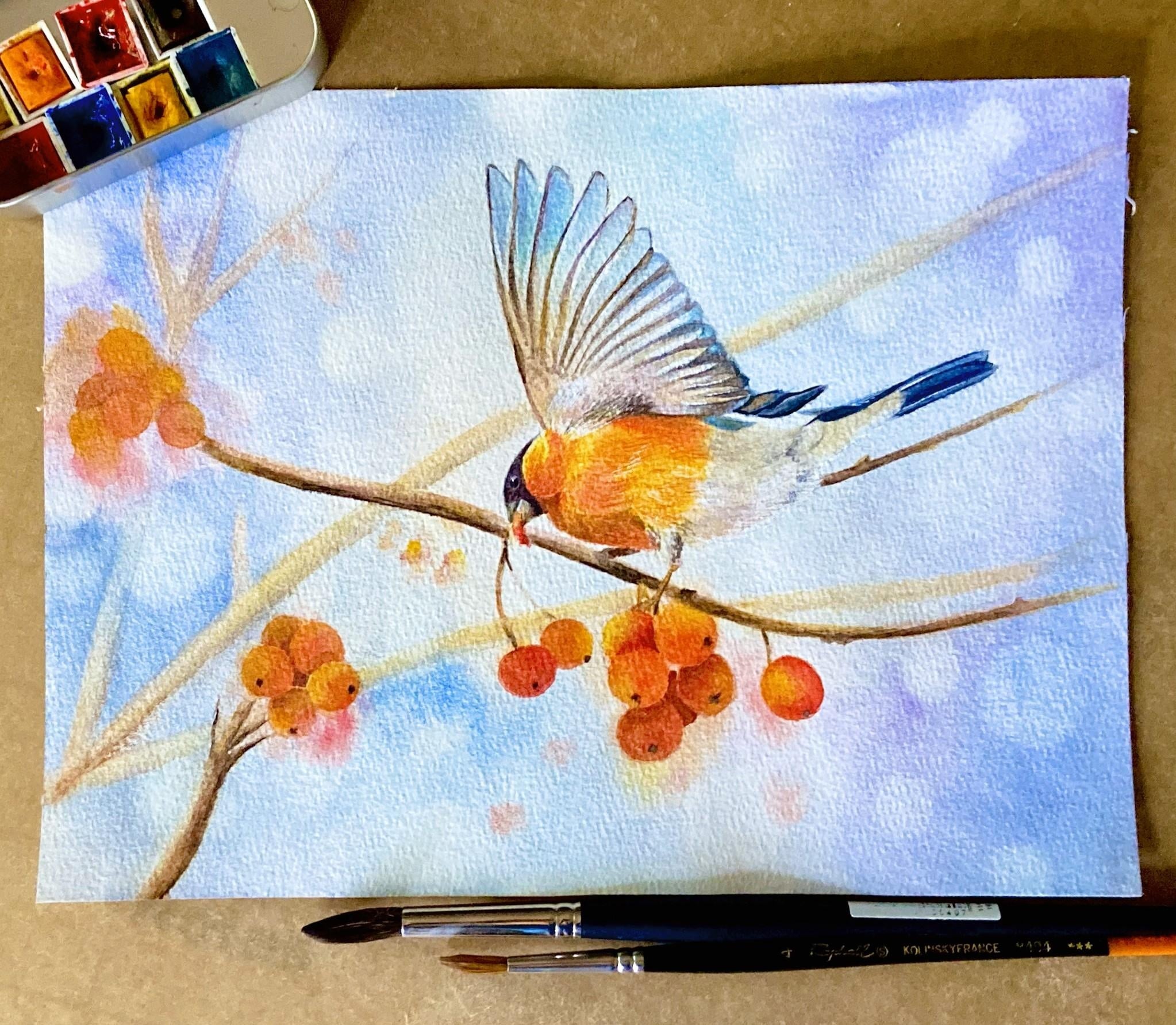 Winter bird - student project