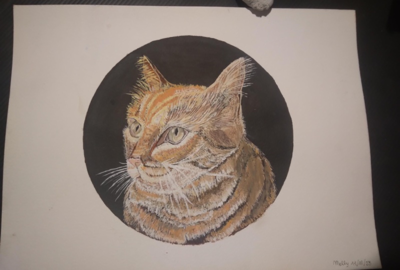 The third cat