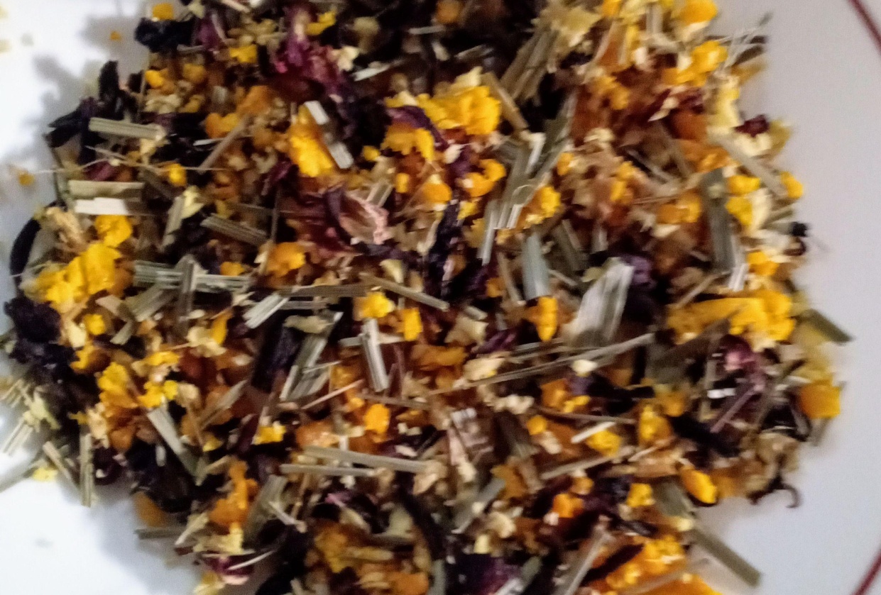 Healing Hibiscus - student project