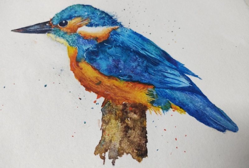 Watercolor Kingfisher