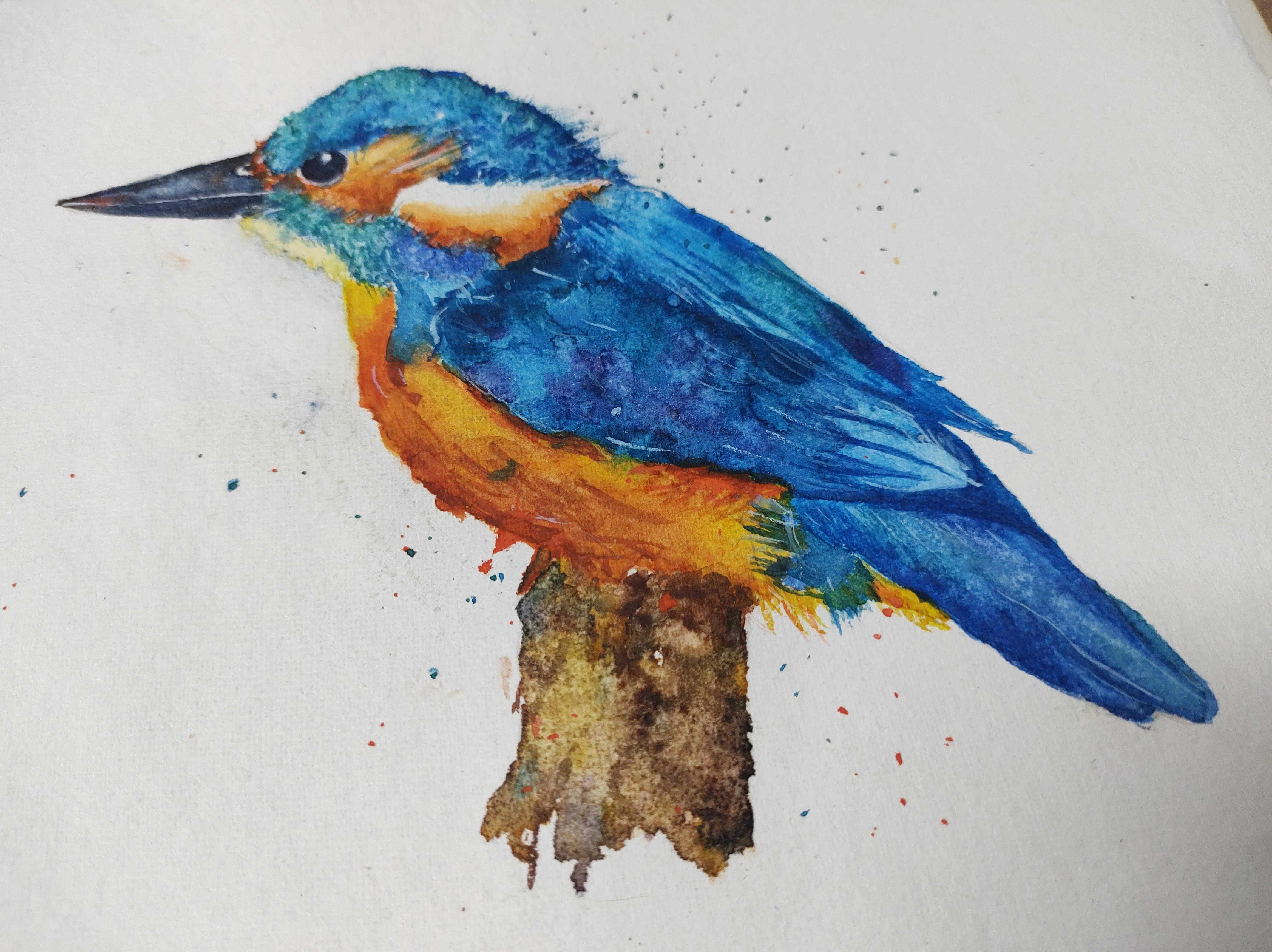 Watercolor Kingfisher - student project