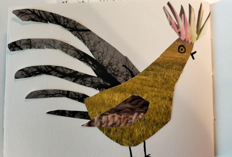 Little book of birds