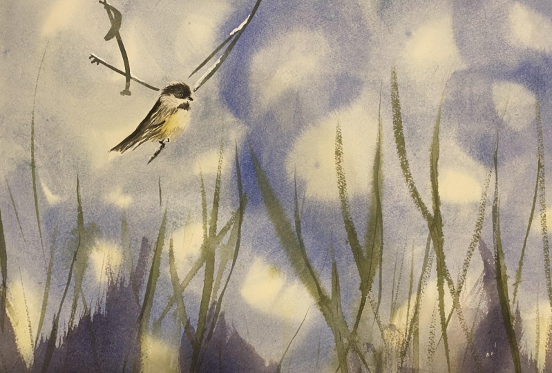 Watercolor chickadee