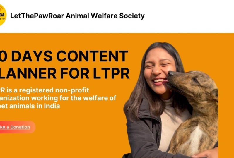 30 days content planner for LTPR