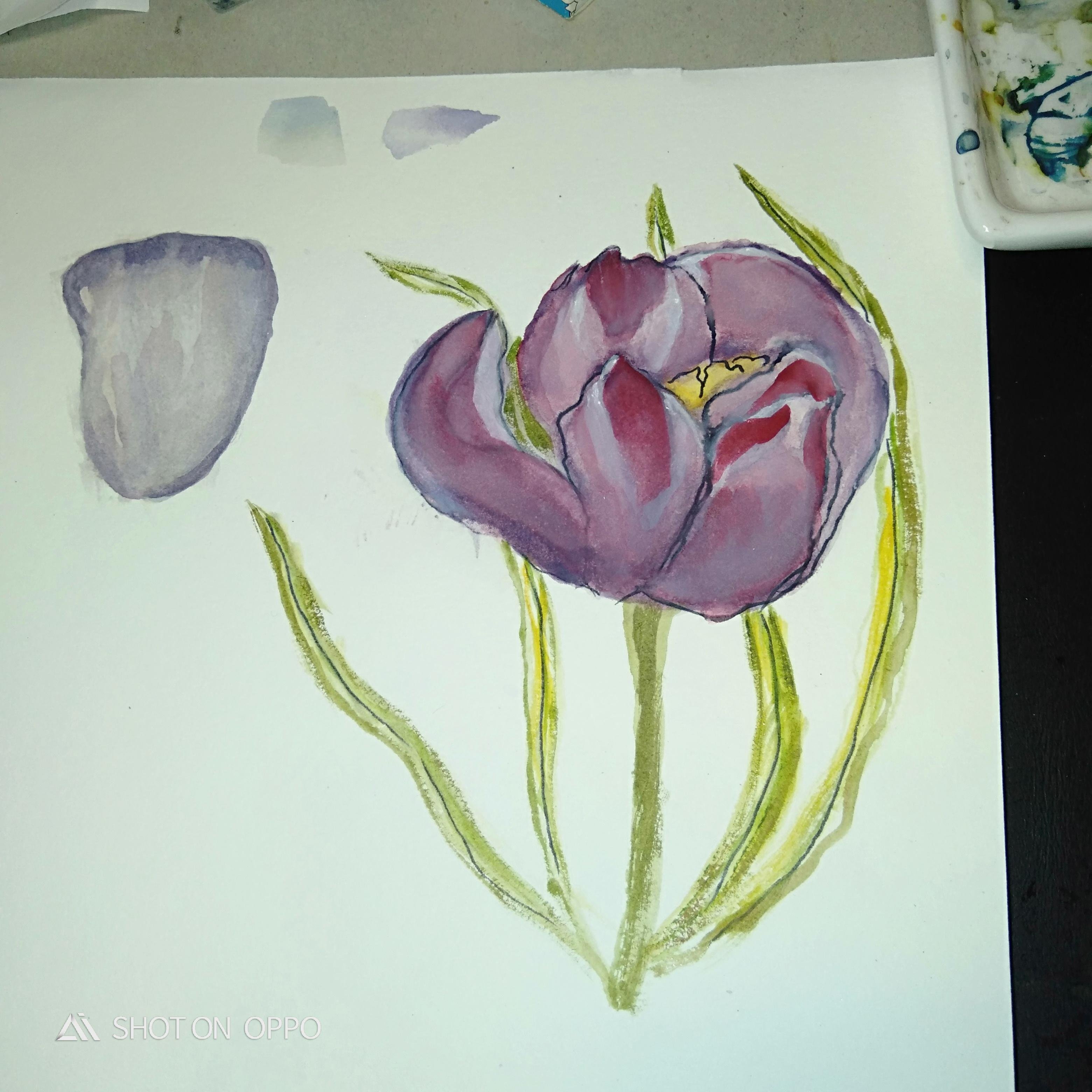 more-projects-from-class-img