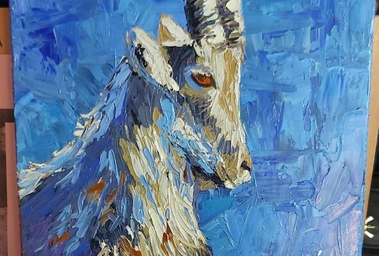 The goat - student project