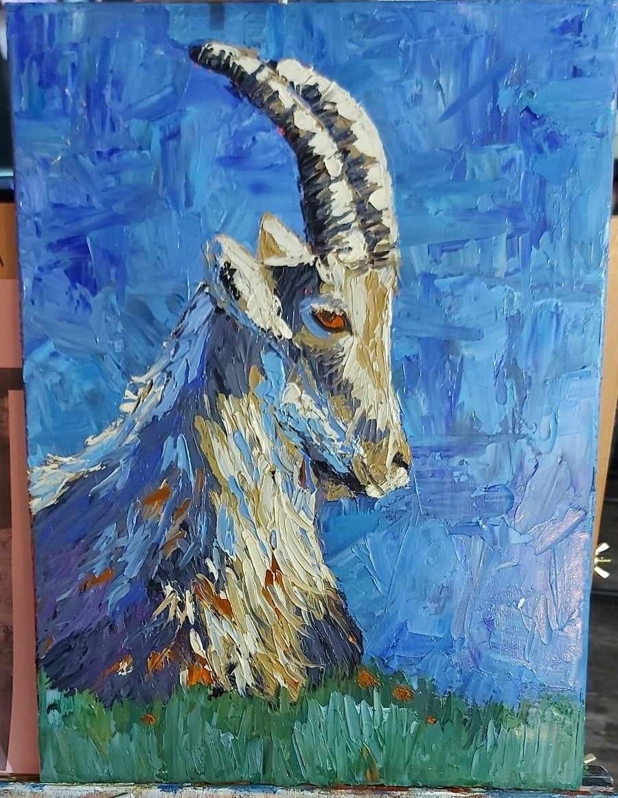 The goat - student project