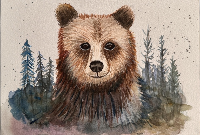 Baby bear