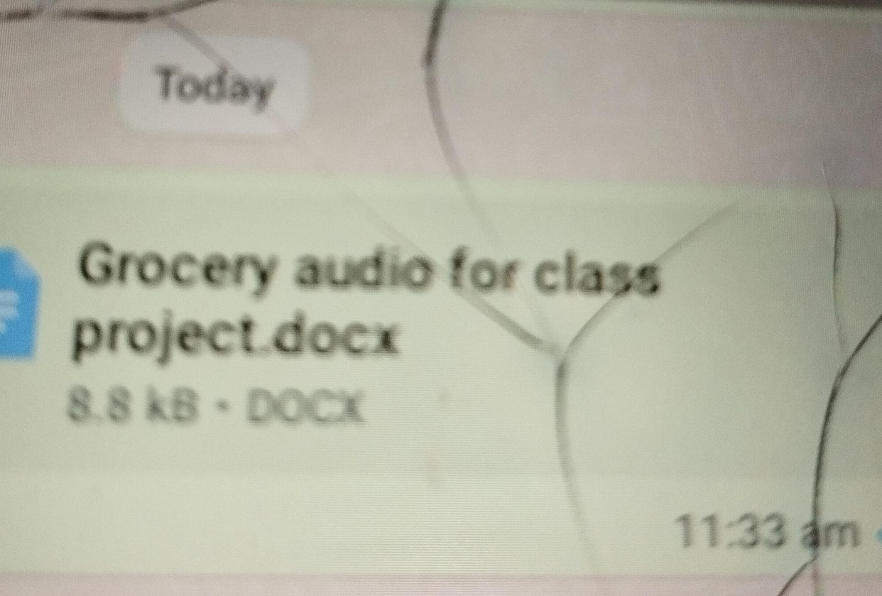 Grocery audio for class project