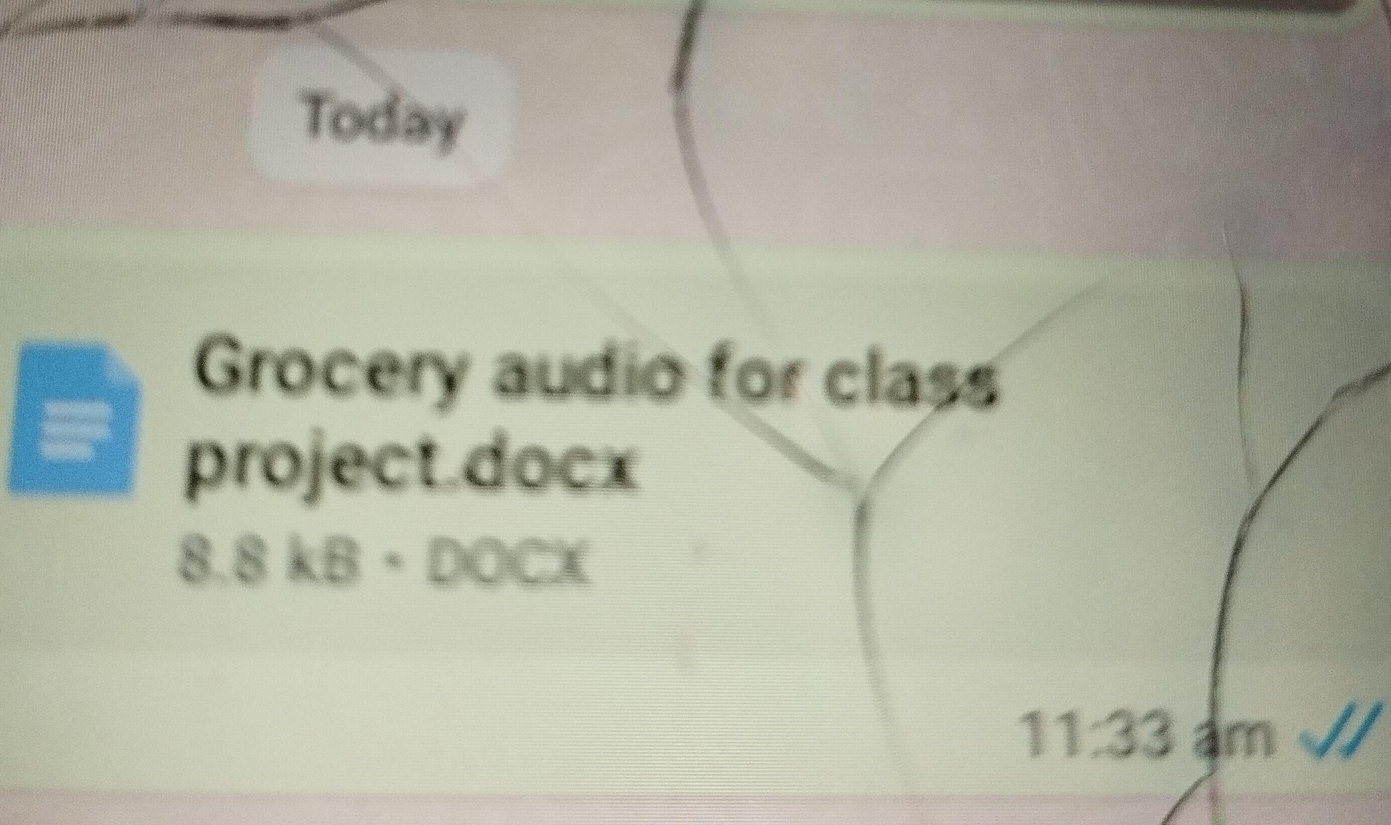 Grocery audio for class project