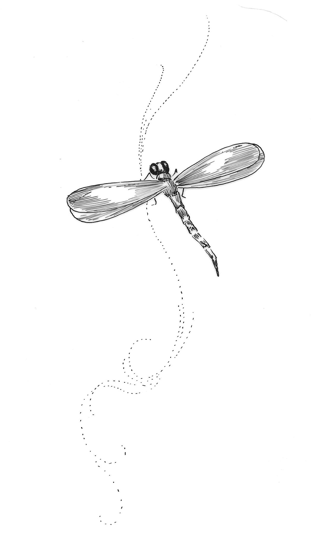 more-projects-from-class-img