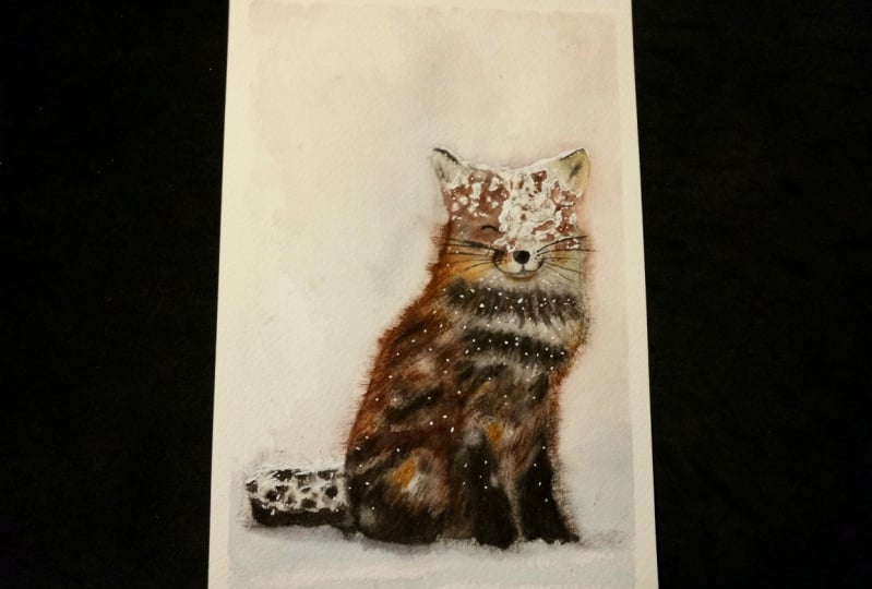 Snowy Red Fox