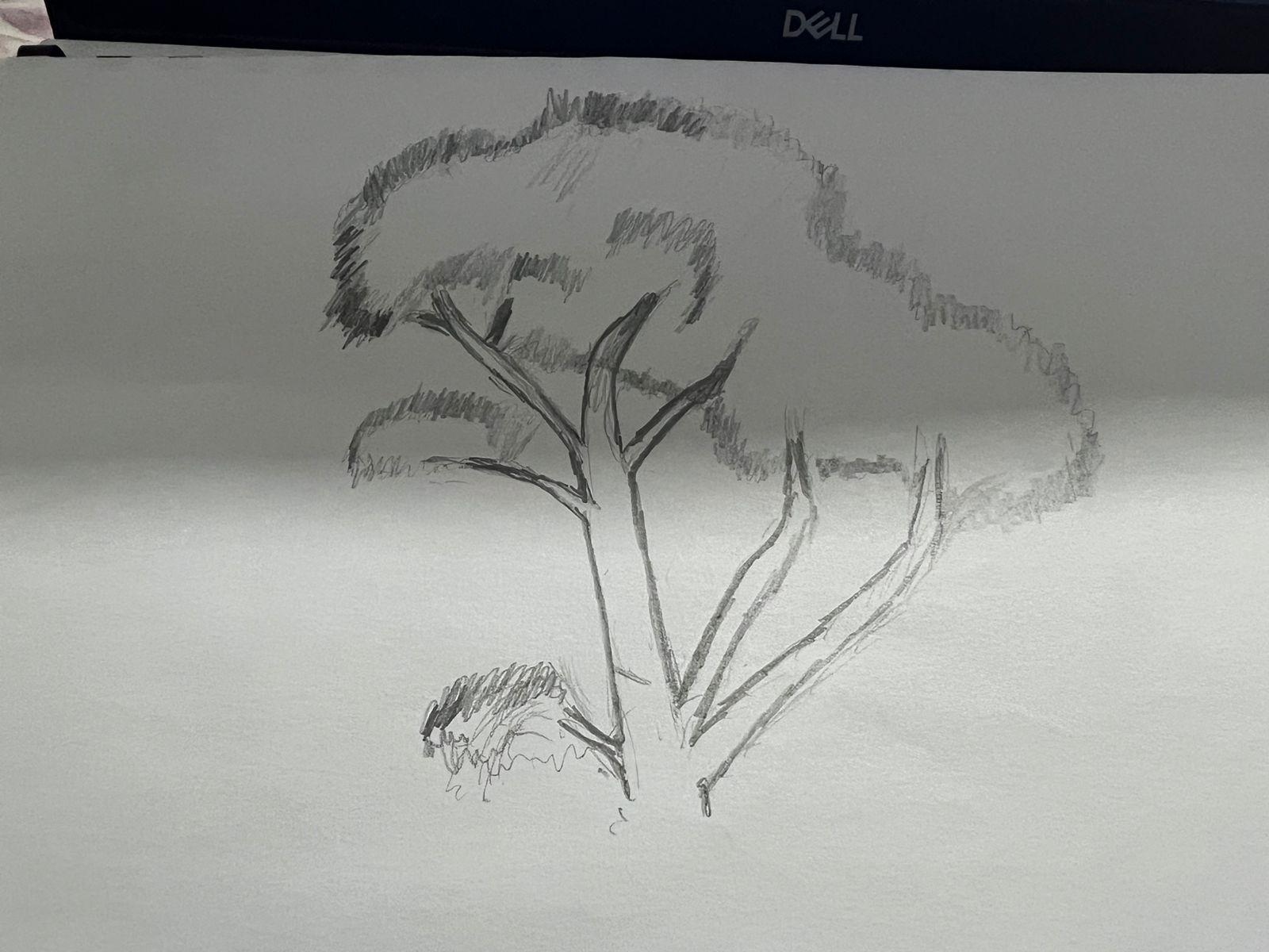 more-projects-from-class-img