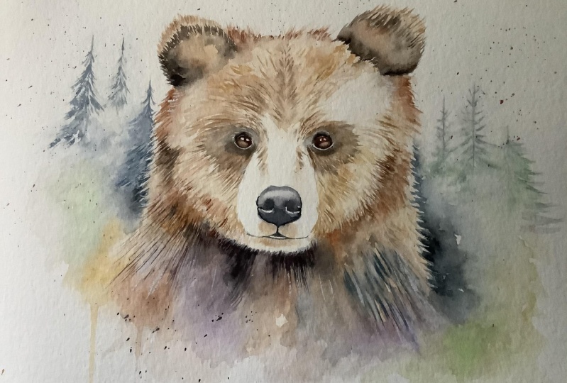 From Fur to Forest: Painting a Brown Bear Using Fun Watercolour ...