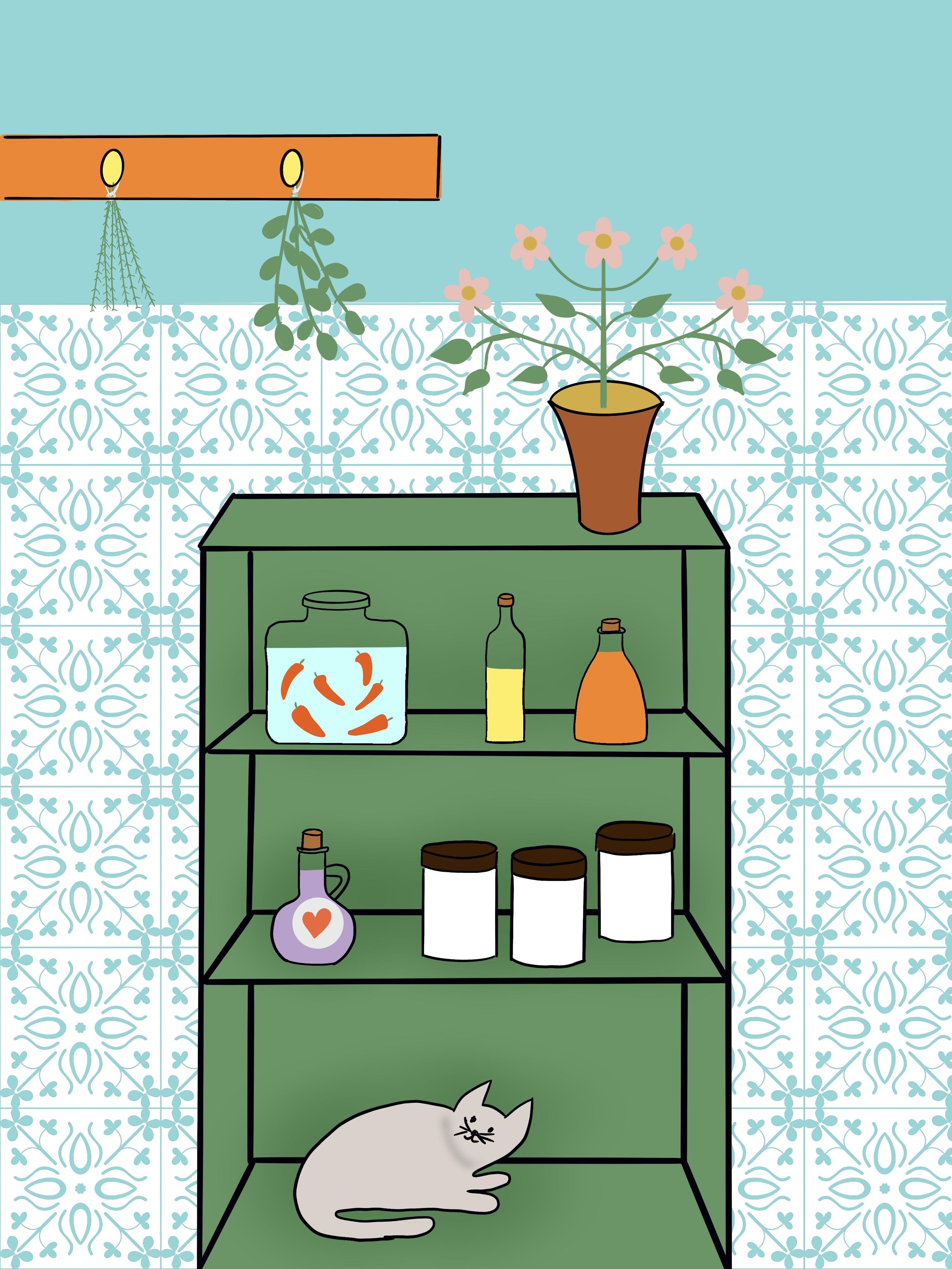 more-projects-from-class-img