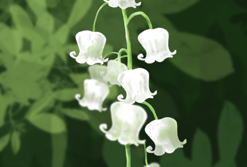 Lillies with Procreate