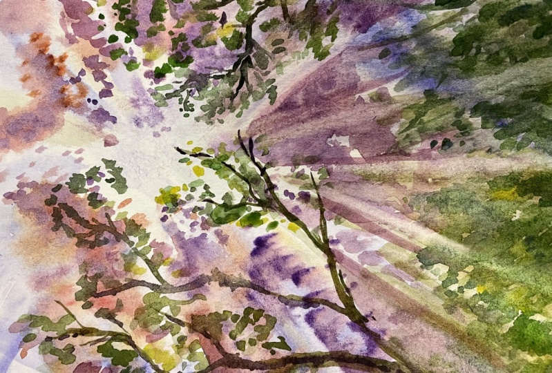 Sunlight through Trees