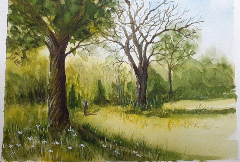Forest Walk