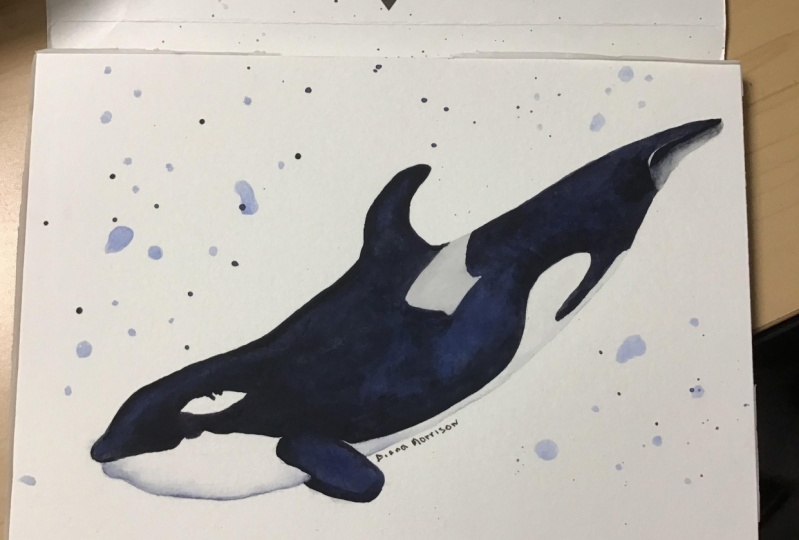 Whale