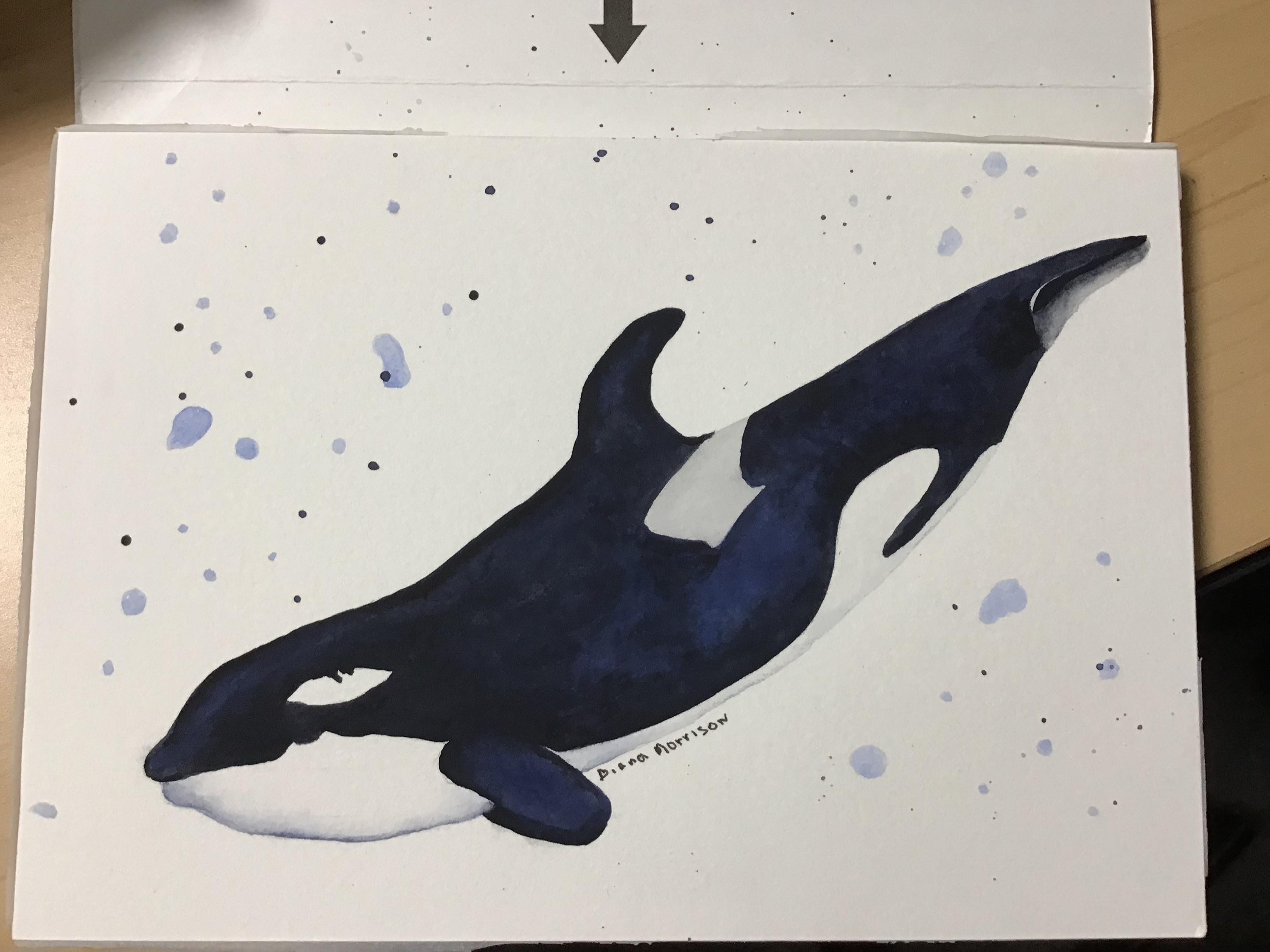 more-projects-from-class-img