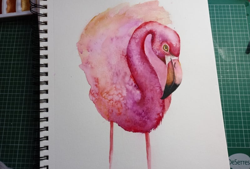 Flamingo