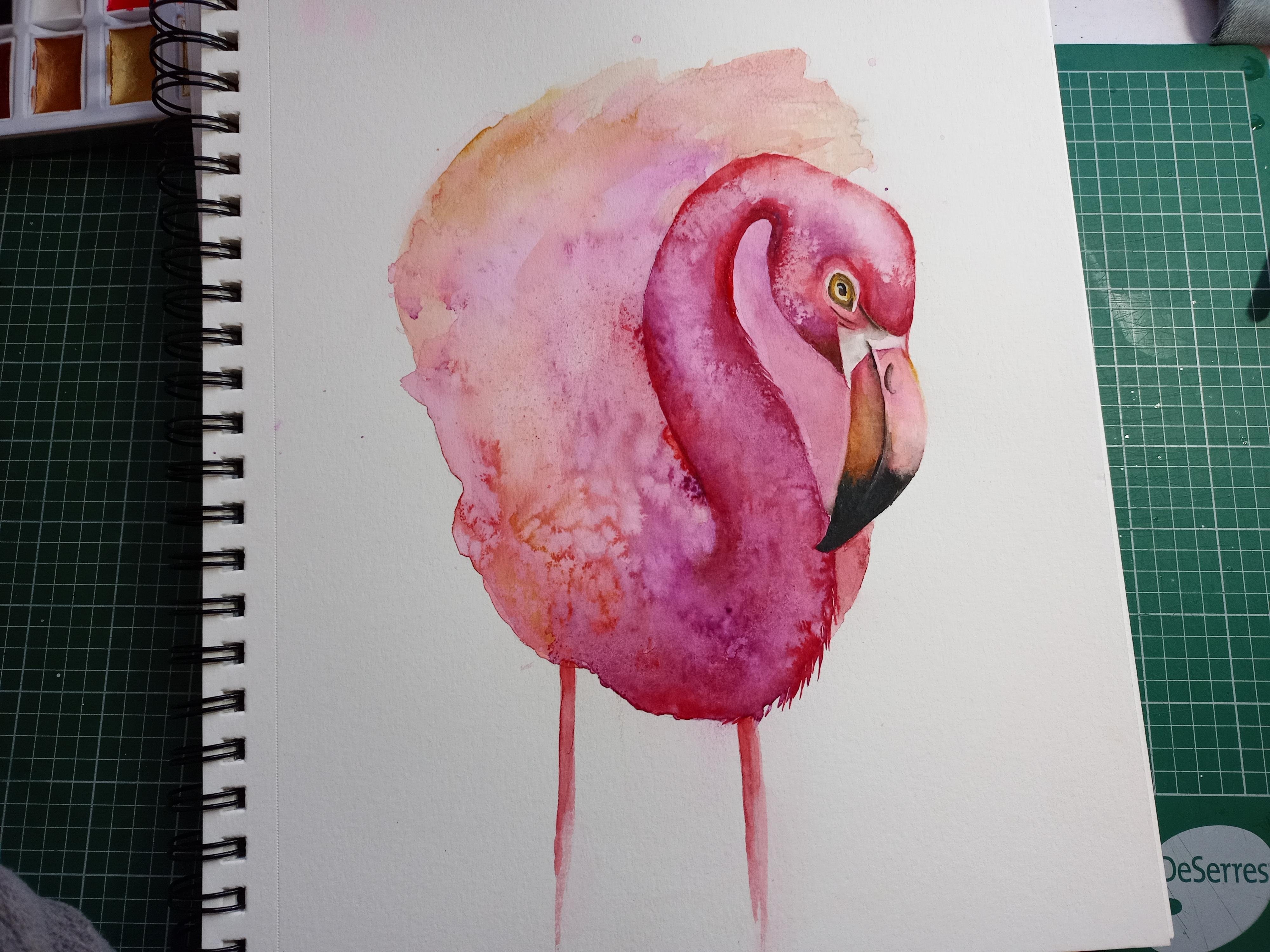 Flamingo - student project
