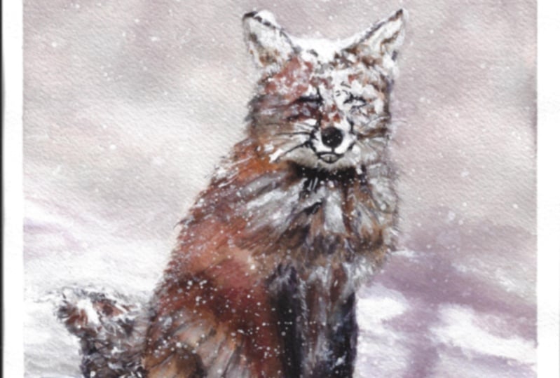 Snow Fox