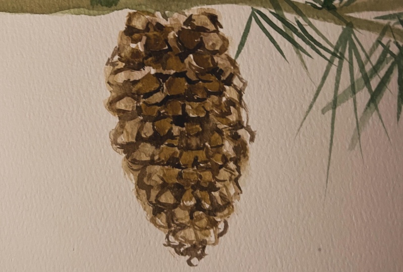 Great class for some winter watercolors!