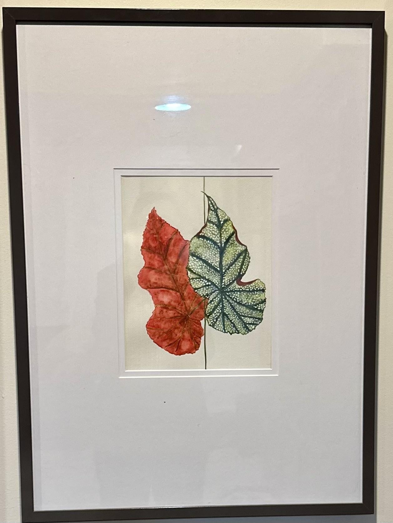 Tropical leaves - student project