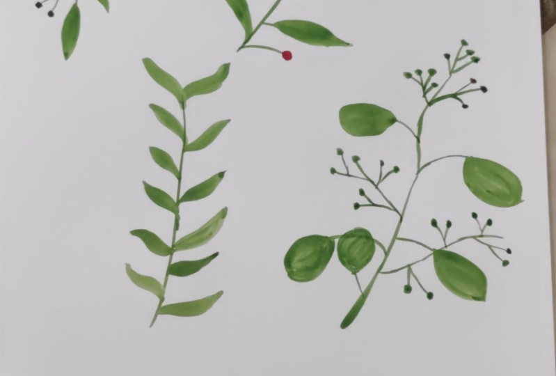 Practiced leaves